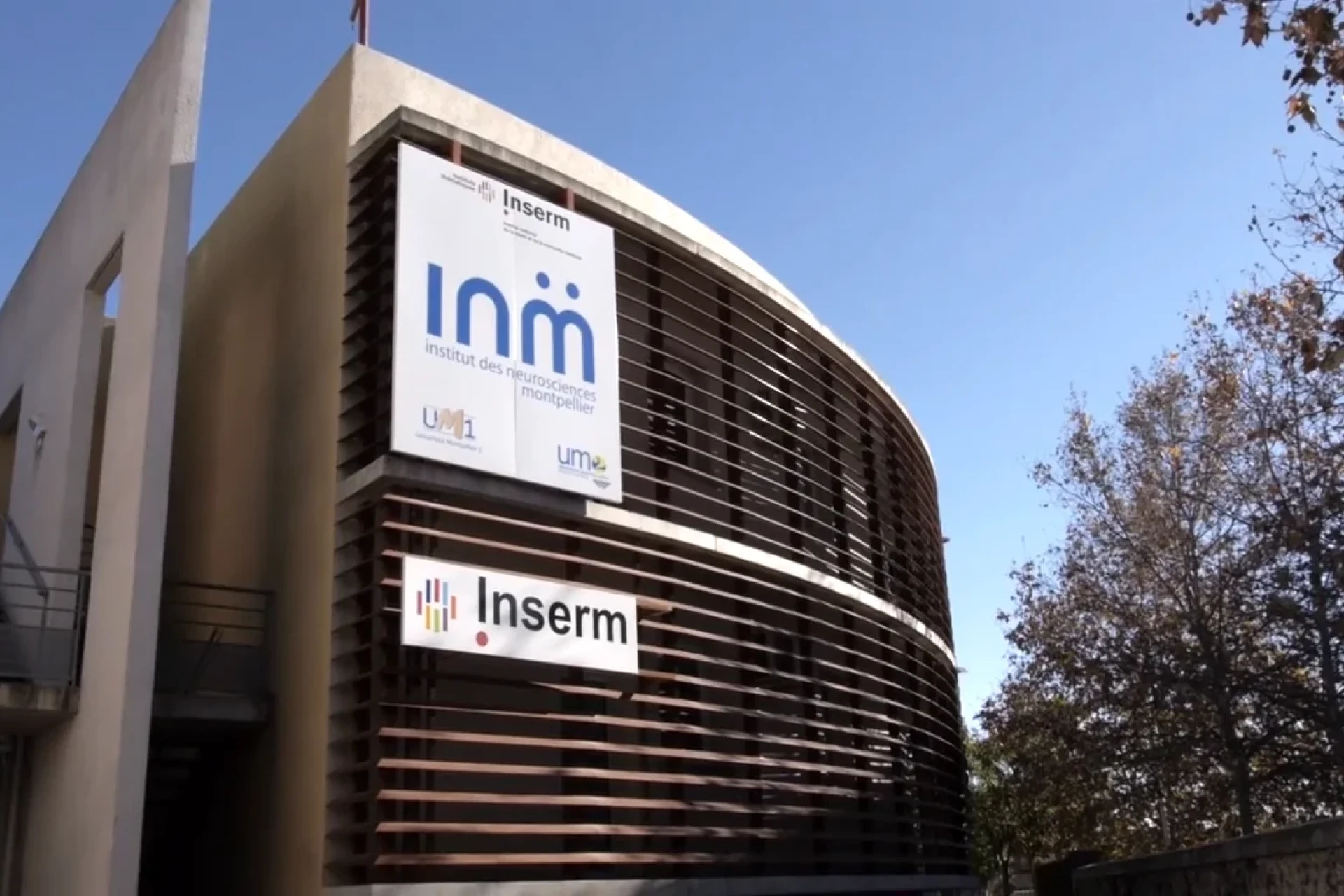The Institute for Neurosciences of Montpellier