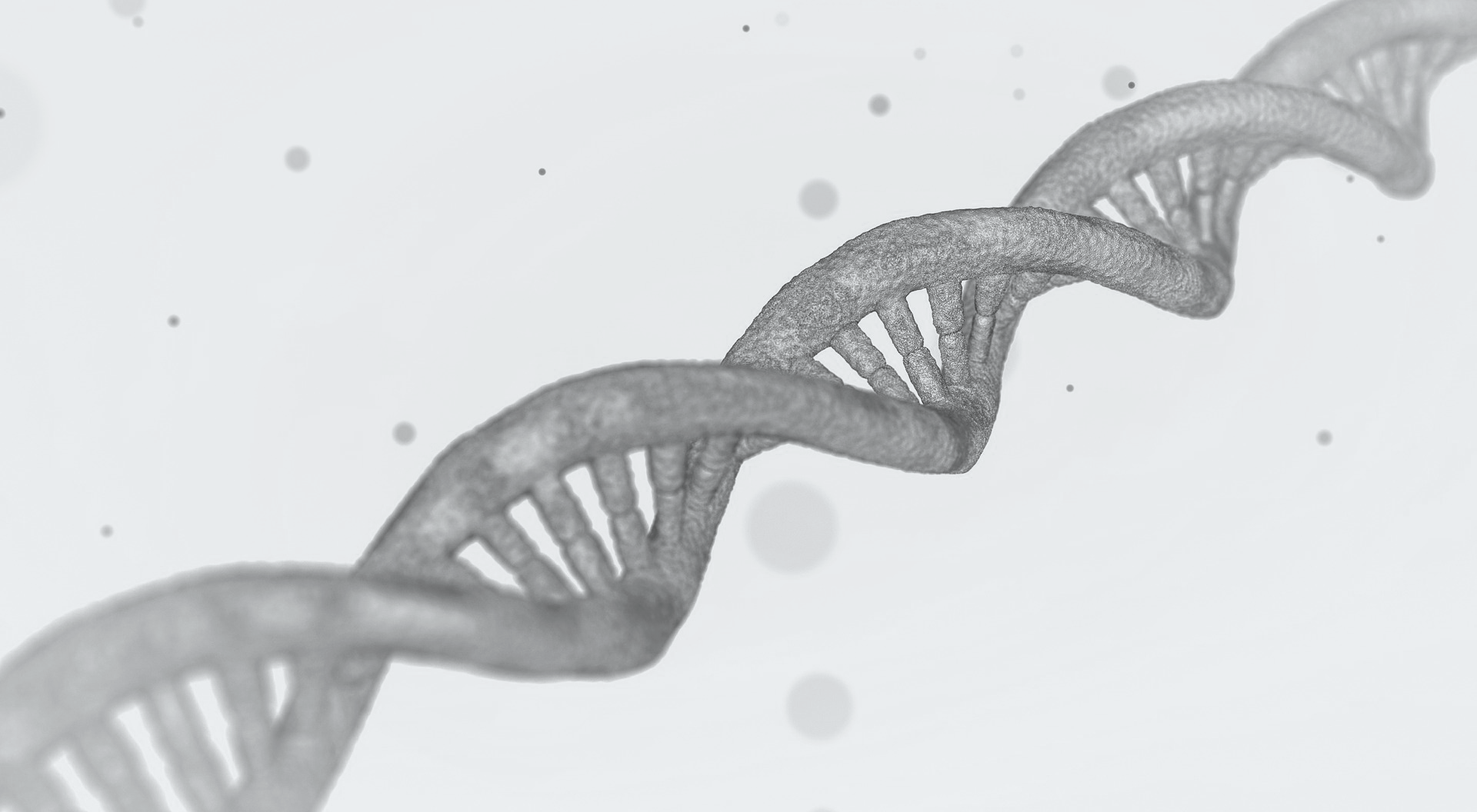 DNA chain